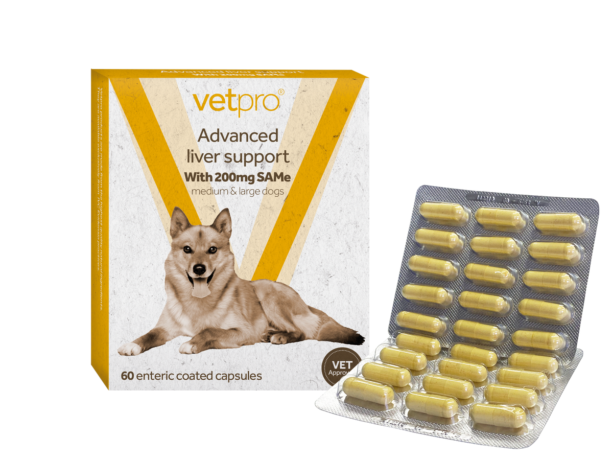 Vetpro - Advanced Liver Support (Medium/Large Dogs) - Large Dogs 60 x 200mg