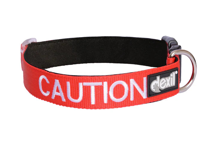 "Caution" Dog Collar by Friendly Dog Collars