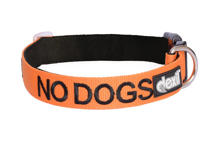 "No Dogs" Dog Collar by Friendly Dog Collars