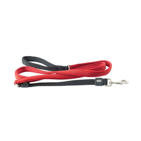 Long bungee clearance dog lead