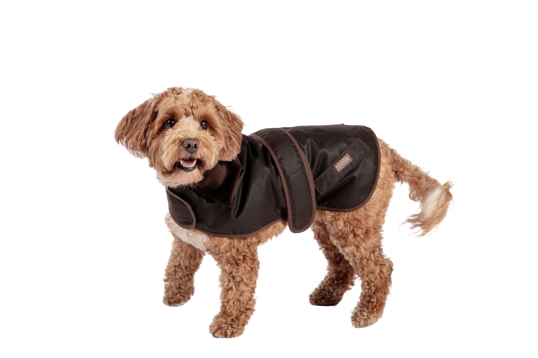 FatFace Sussex Wax Dog Coat