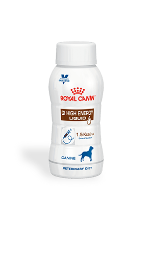 Royal canin gastrointestinal high hotsell energy feline